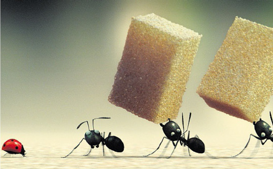 Force des fourmis